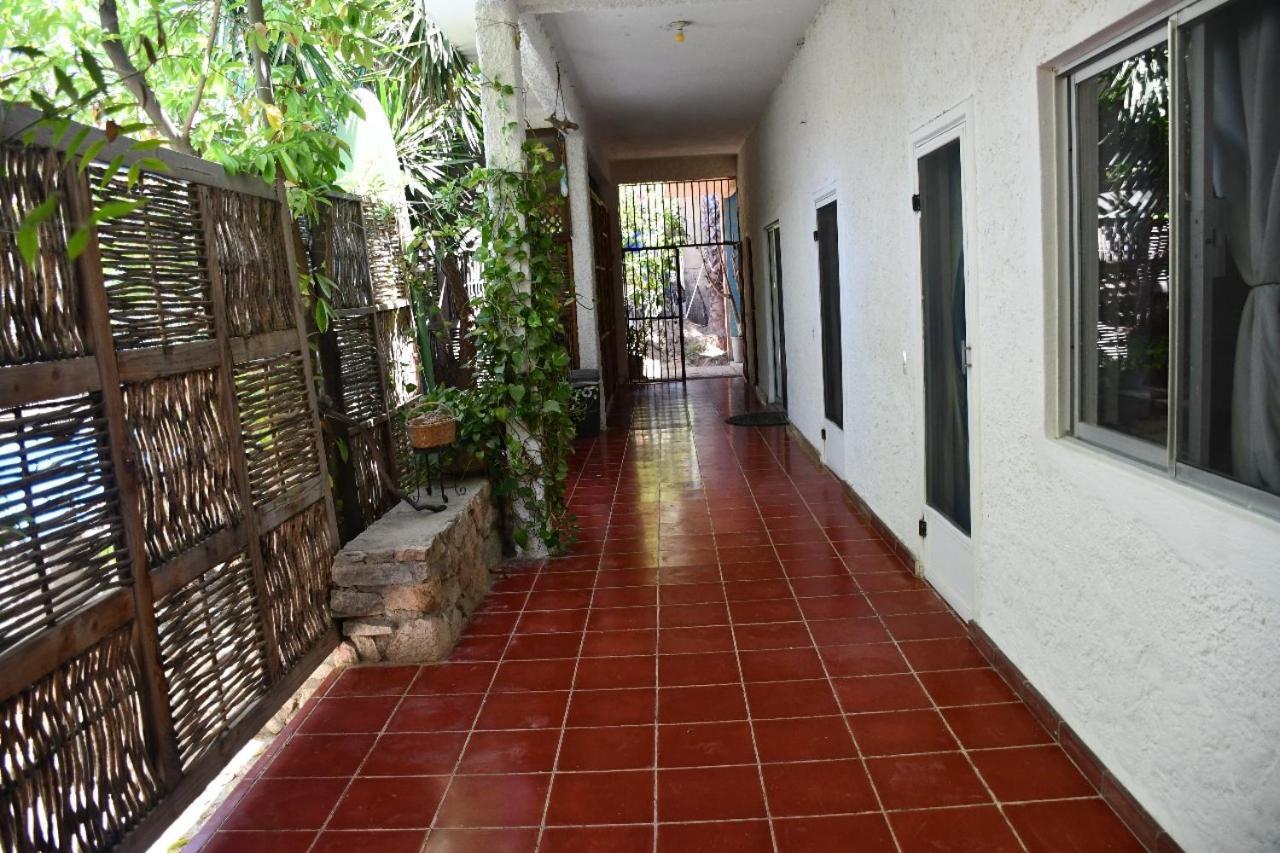 La Playita Hostal San Jose del Cabo Bagian luar foto