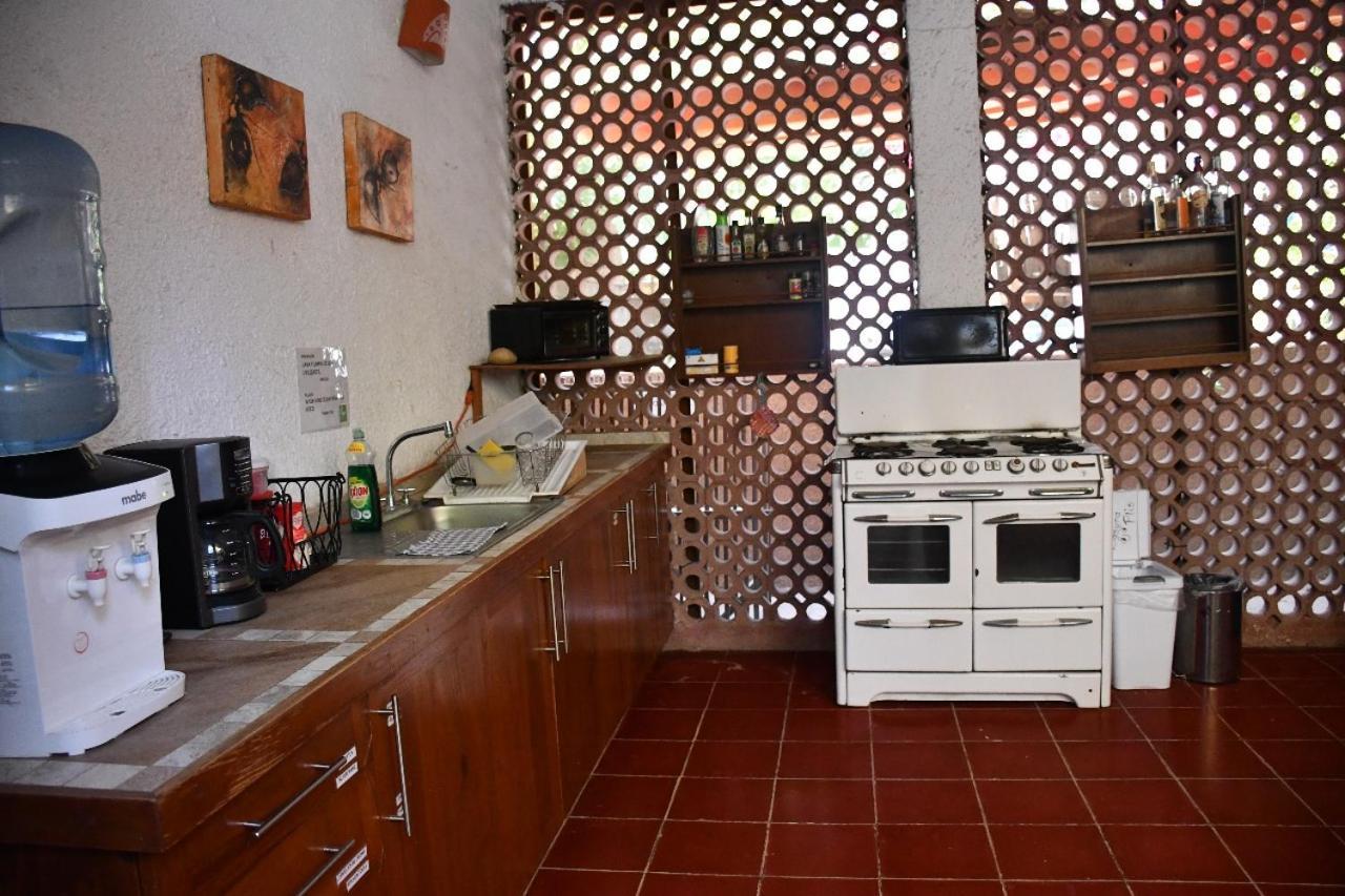 La Playita Hostal San Jose del Cabo Bagian luar foto