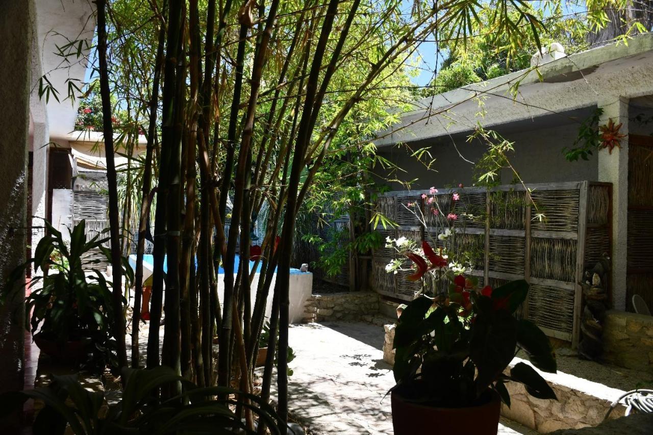 La Playita Hostal San Jose del Cabo Bagian luar foto