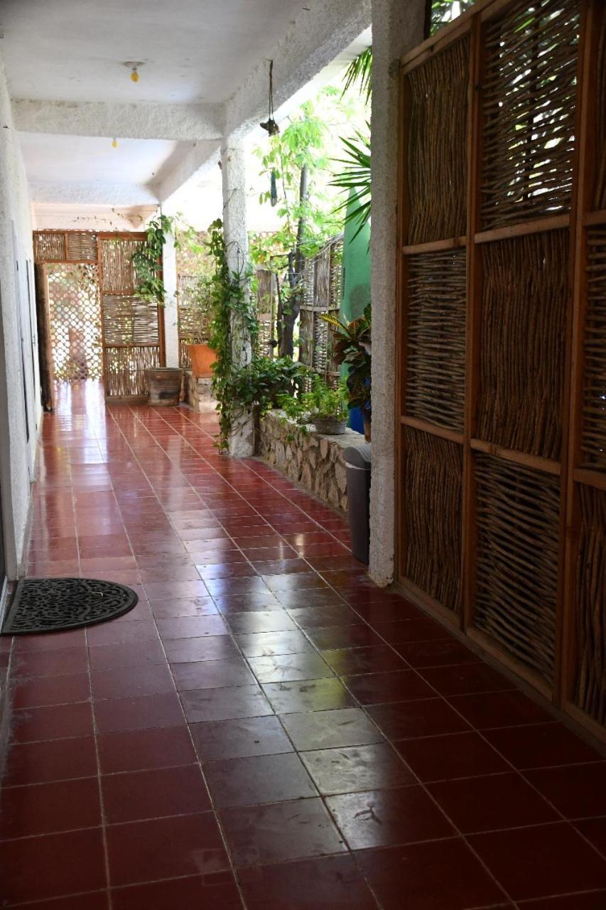 La Playita Hostal San Jose del Cabo Bagian luar foto